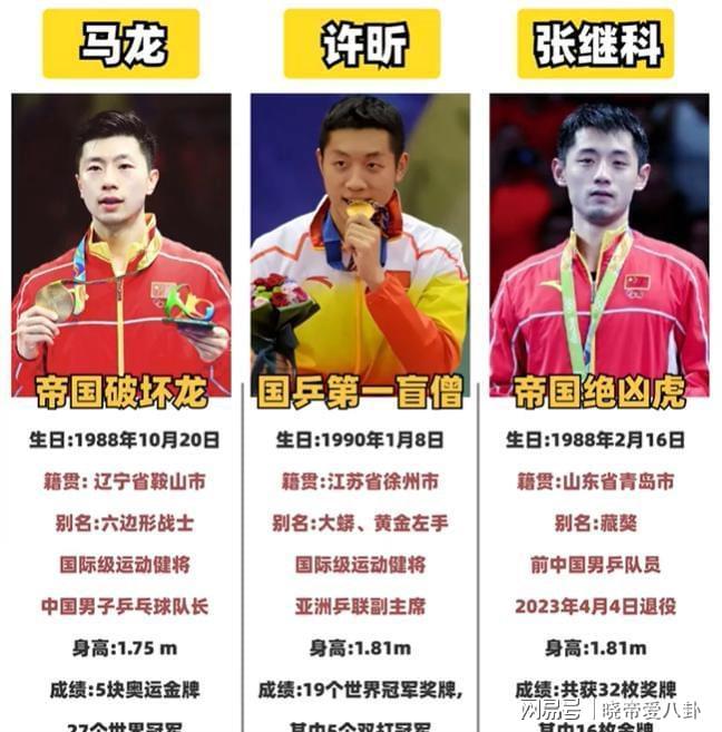 德国乒乓球队逆转中国乒乓球队，张继科爆发神勇的简单介绍