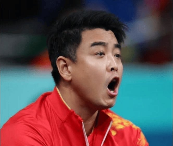 包含德国乒乓球队逆转法国乒乓球队，王皓高光表现的词条