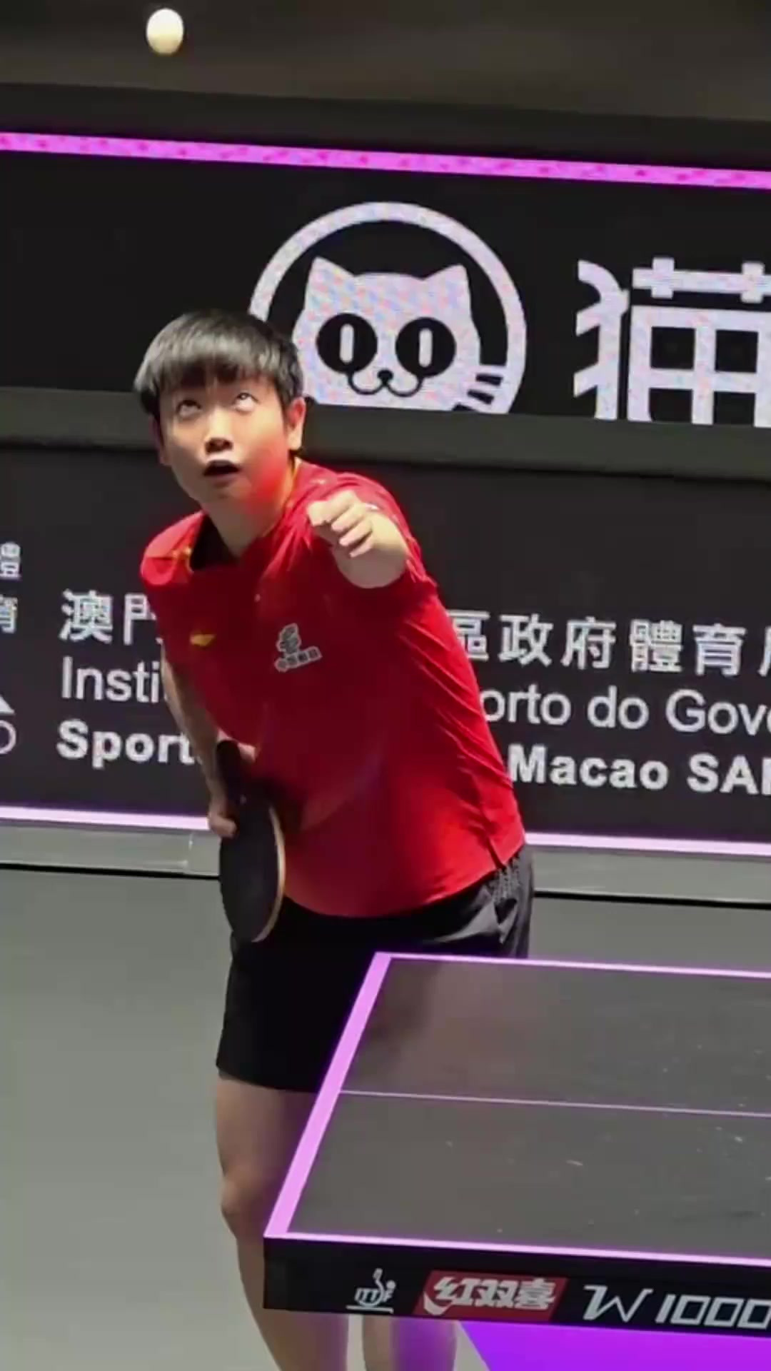 关于中国羽毛球队爆冷泰国羽毛球队，马琳送出助攻的信息