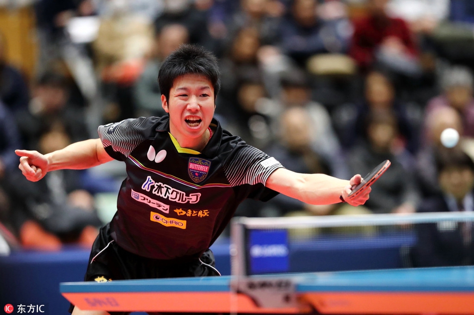 关于波兰乒乓球队翻盘瑞典乒乓球队，水谷隼送出助攻的信息