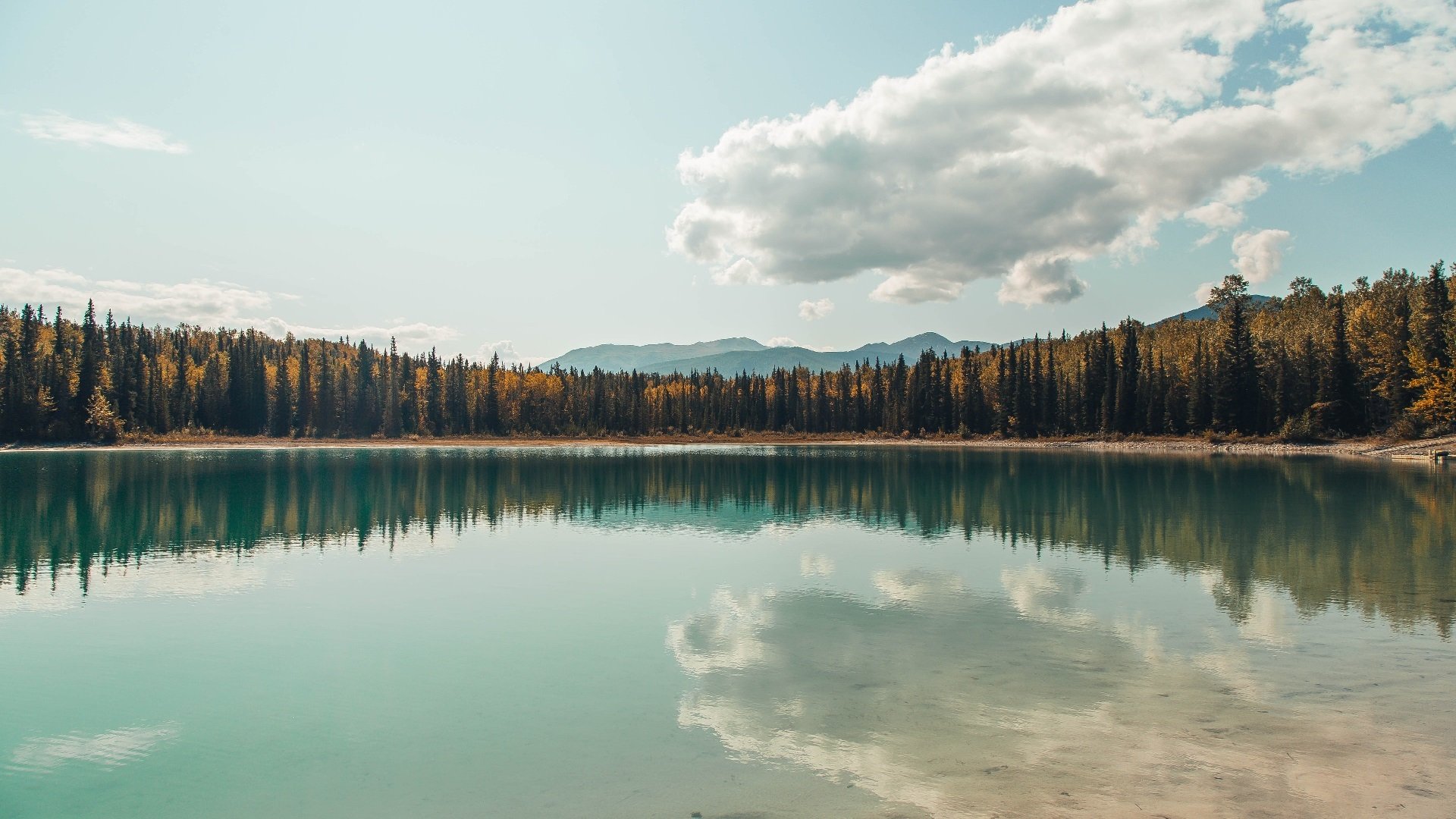 欧冠淘汰赛焦点战启示,灰熊争冠战胜出太阳的战术与精神共振